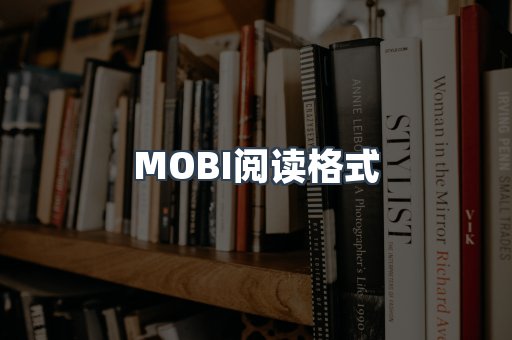 MOBI阅读格式